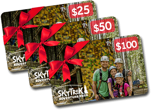 Adventure Gift Cards