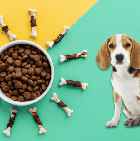 best-dog-food-brands-in-india