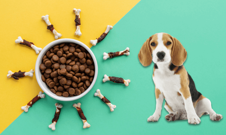 best-dog-food-brands-in-india