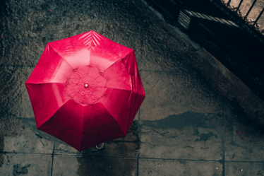 Best-Umbrella-Brand-In-India