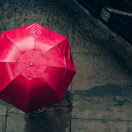 Best-Umbrella-Brand-In-India
