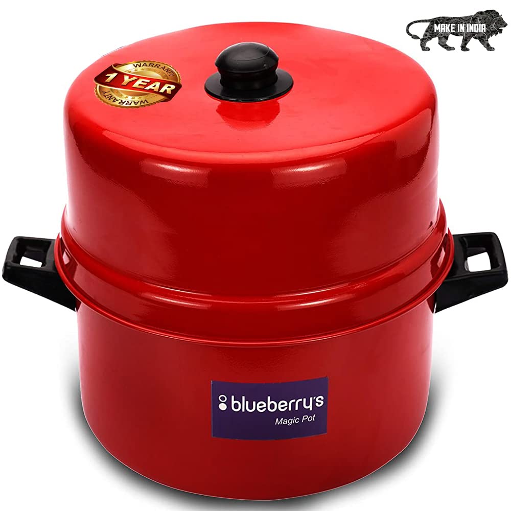 Blueberry's Thermal Rice Cooker