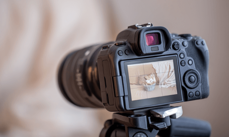 DSLR-Cameras-for-Beginners
