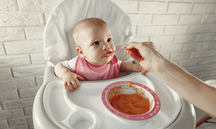 baby-food-brands