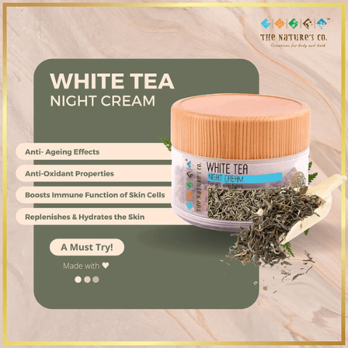The-Natures-Co-White-Tea-Night-Cream