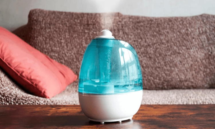 Highly Recommended Humidifiers for Dry Winter Air